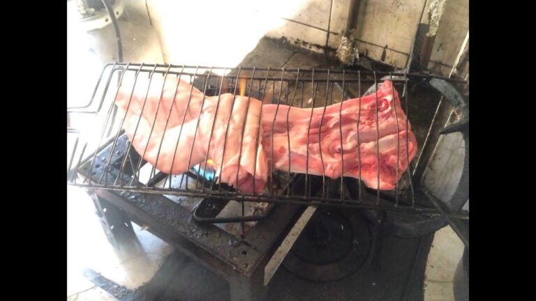 Guia Prático para Limpar Orelha de Porco