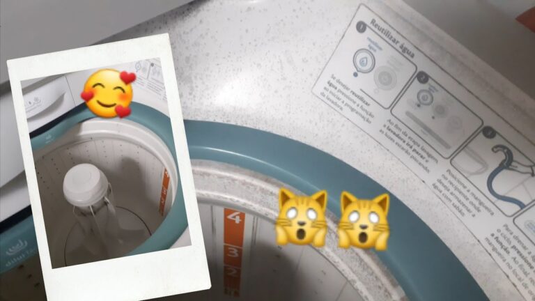 Guia Prático para Limpar Bolor da Máquina de Lavar