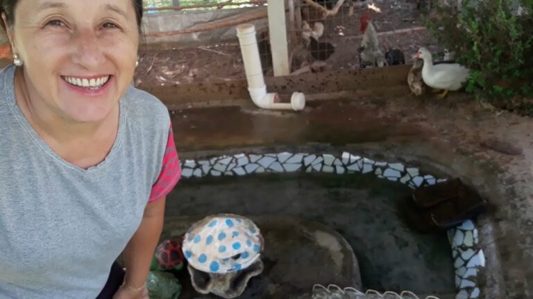 Limpeza Eficiente de Lagos para Patos