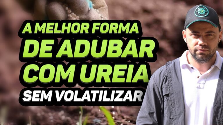 Dicas para Limpar Terreno no Jogo Portugal 1111