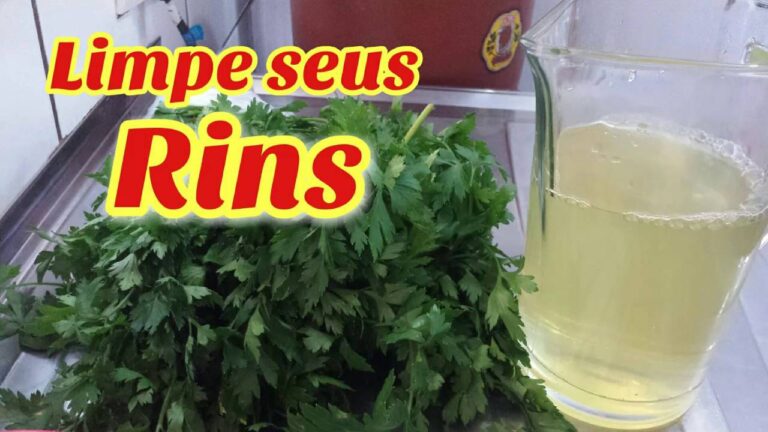 Salsa Rins Limpeza Renal Natural com Salsa | Actualizado julio 2026
