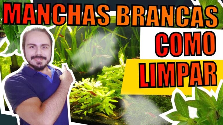 Como Remover Manchas Brancas de Vidro de Aqu&aacute;rio