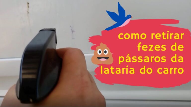 Dicas Eficazes para Limpar Excrementos de Pássaro