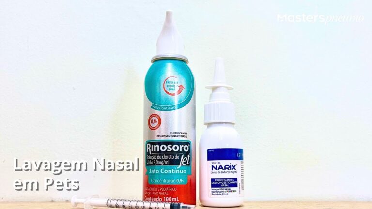 Como Limpar o Nariz do Gato de Forma Eficiente