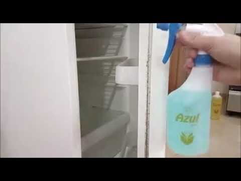 Como Remover Bolor das Borrachas do Frigorífico