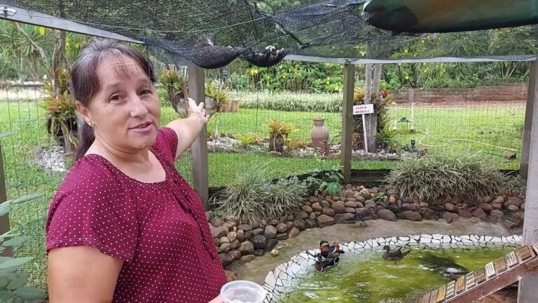 Dicas para Manter o Lago com &Aacute;gua Limpa