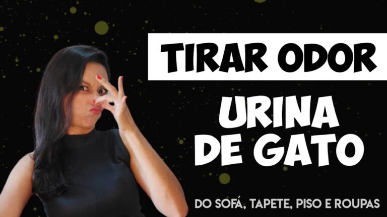 Limpeza Eficiente: Como Usar Urina de Gato para Limpar o Ch&atilde;o