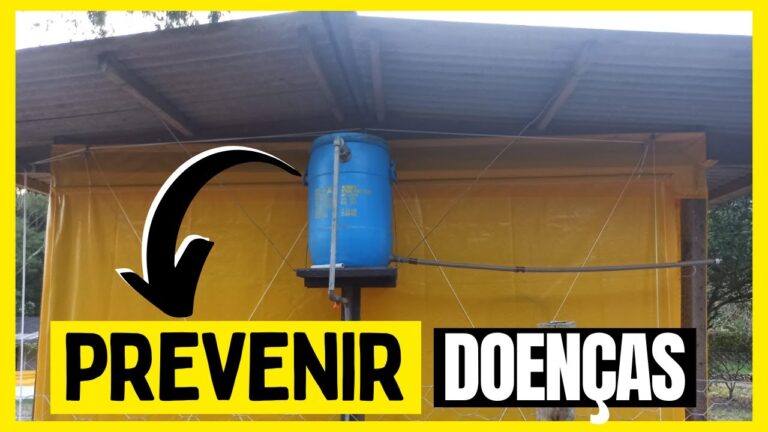 Terreno Limpo: A Solução das Galinhas