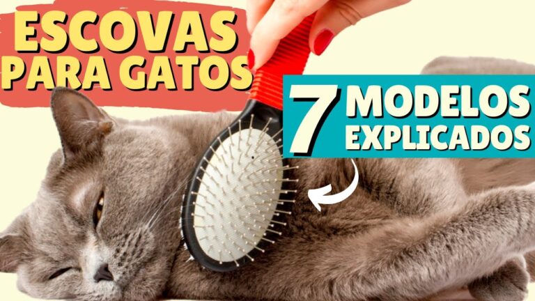 Guia Prático: Como Limpar sua Escova de Gato