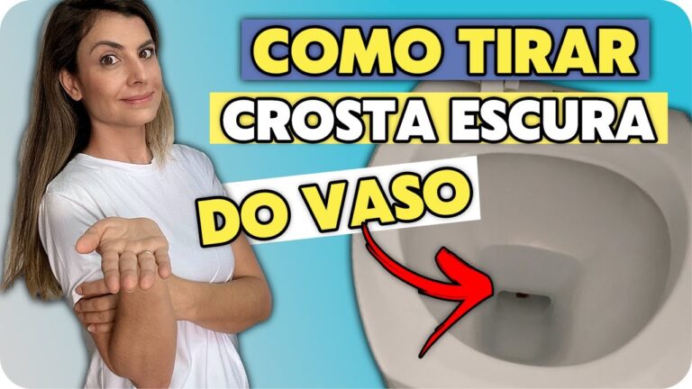 Dicas Eficazes Para Manter o Fundo da Sanita Limpo