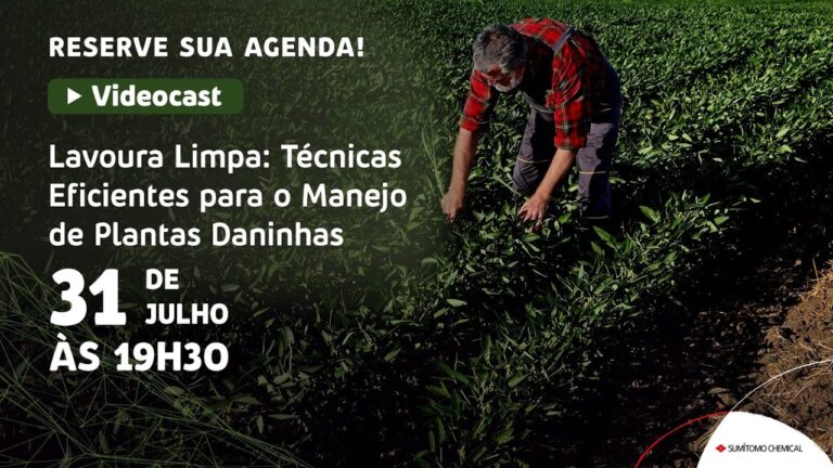 T&eacute;cnicas Limpas na Agricultura: Um Guia Pr&aacute;tico para Sustentabilidade
