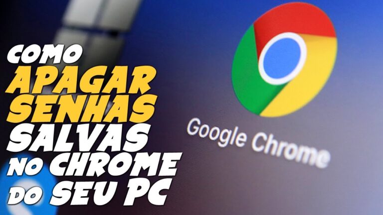 Guia Pr&aacute;tico para Limpar Palavras-Passe no PC