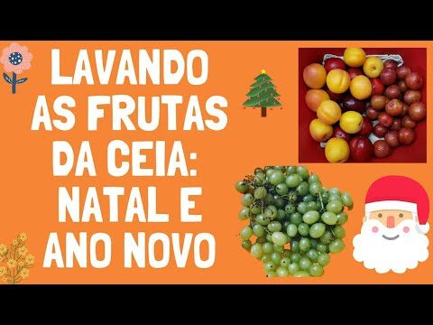 Como Limpar Amêijoas de Forma Eficiente