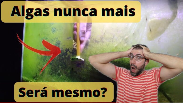 Como Limpar Lodo de Aquário de Forma Eficiente