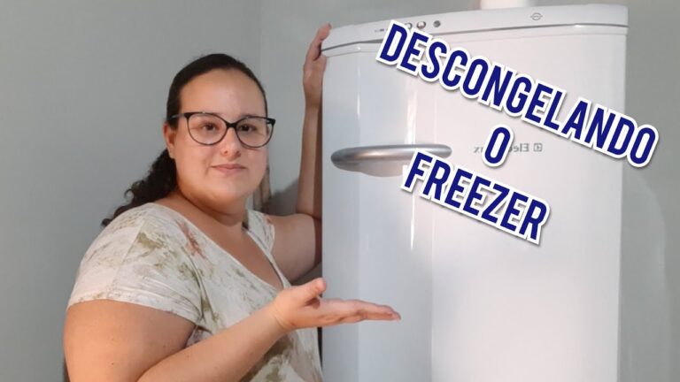 Guia Prático: Como Limpar o Freezer Vertical