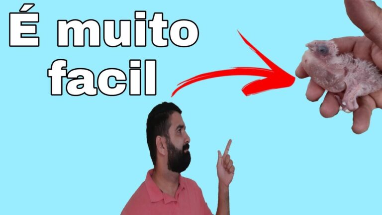Como Limpar o Ar do Papo de Papagaio de Forma Eficiente