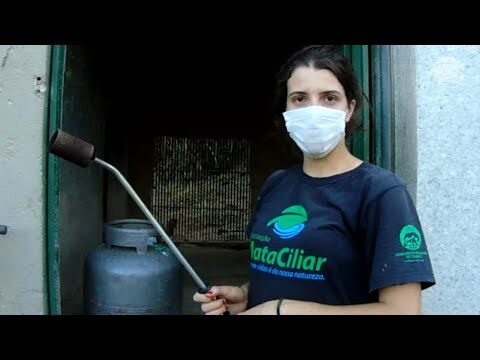 Como Limpar uma Mata Após um Incêndio
