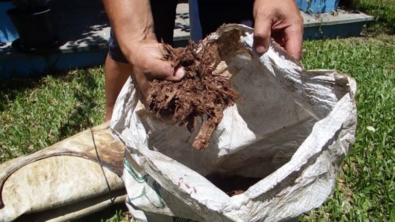 Dicas Eficazes Para Limpar Pel&ocirc; de Raposa de Lontra com Receita Caseira