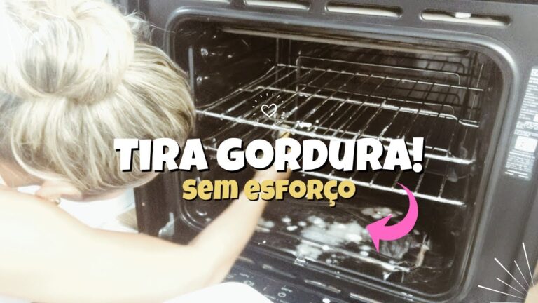 Guia Pr&aacute;tico para Limpar Forno El&eacute;trico