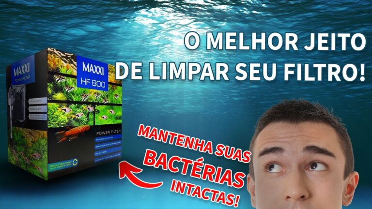 Guia Pr&aacute;tico: Como Limpar Filtro de Aqu&aacute;rio Externo