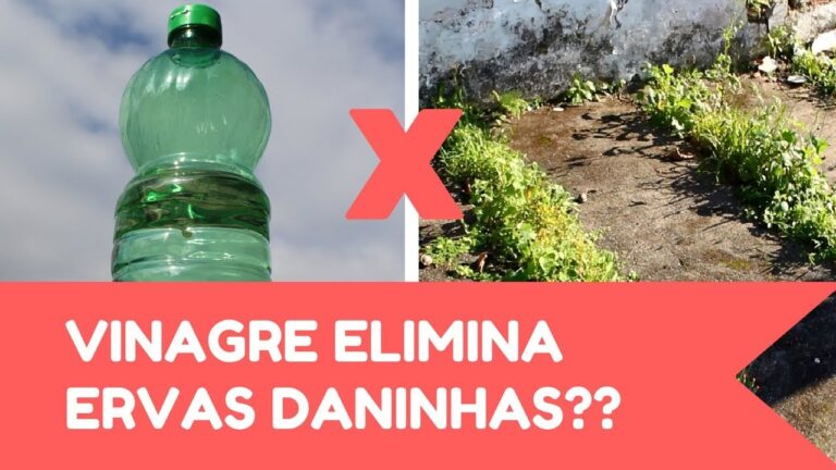 Métodos Rápidos para Limpar Ervas na Calçada