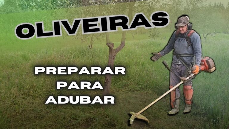 Limpeza Eficiente de Oliveiras com Roçadora no YouTube