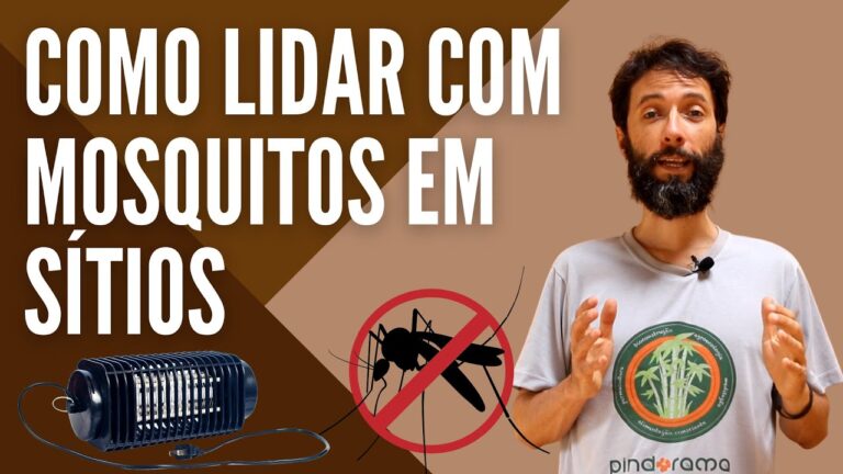 Dicas para Manter a Floresta Limpa com Crianças