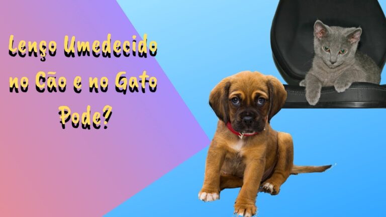 Limpeza de C&atilde;es com Toalhinhas: Dicas e Cuidados