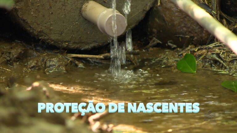 Promovendo uma Natureza Limpa e Conservada