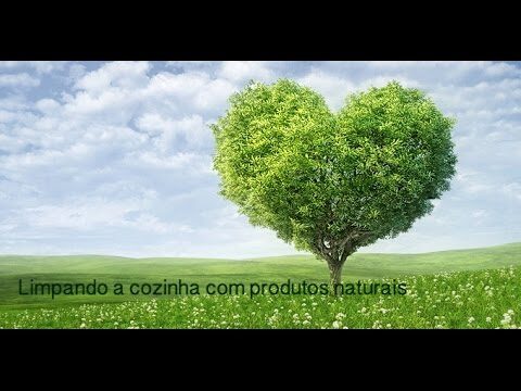 Limpeza Eficiente de Ab&oacute;boras com Vinagre