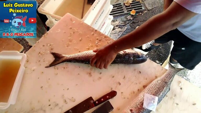 Guia Prático: Como Limpar uma Tainha para Assar