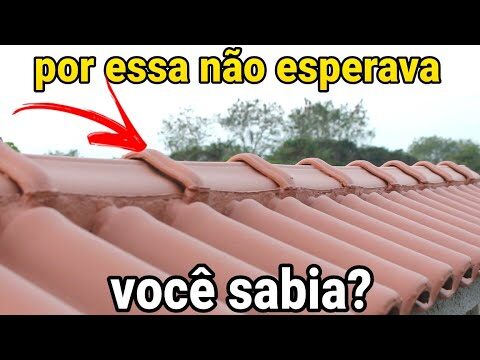 Como Limpar Líquens das Telhas Pretas de Forma Eficiente