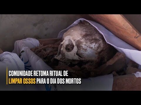 Como Limpar Ossos de Forma Eficiente