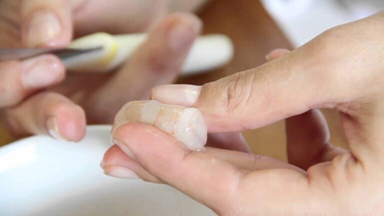 Guia Pr&aacute;tico para Limpar Camar&atilde;o com Facilidade