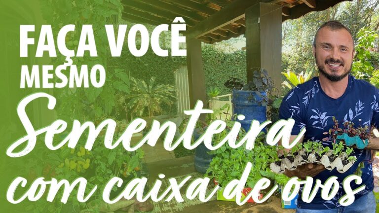 Planta Limpa: Como Semear Garrafas de Forma Eficiente