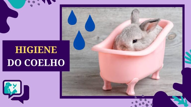 Limpeza Segura do Interior das Orelhas com Toalhitas