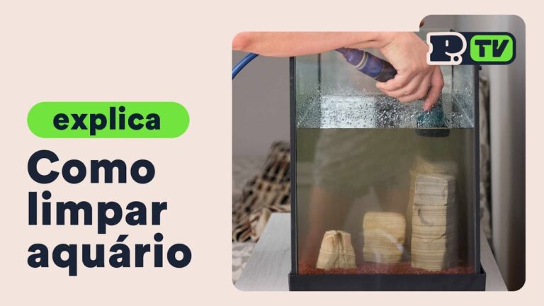 Guia Prático para Limpar o Aquário de Peixe