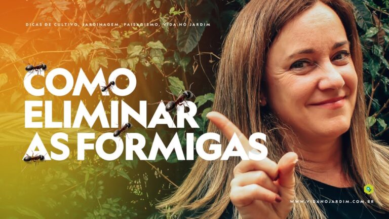 Métodos Eficazes para Remover Formigas das Árvores Frutíferas