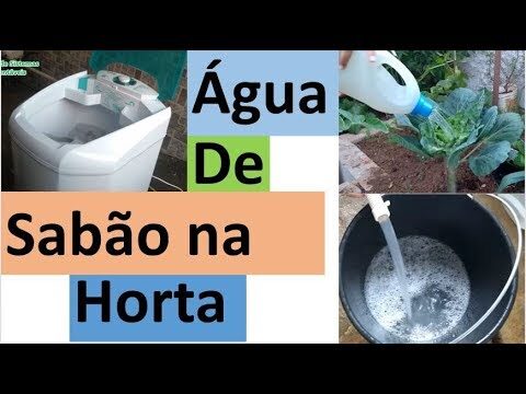 Limpeza Eficiente de Laranjeiras com Sabão