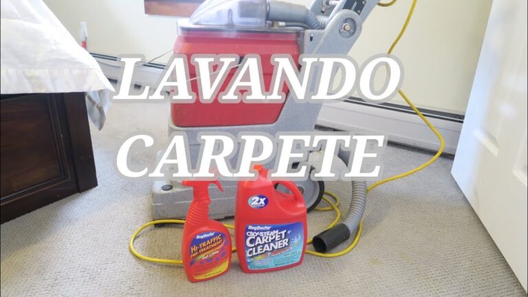 Guia Pr&aacute;tico para Limpar Piso com Carpete