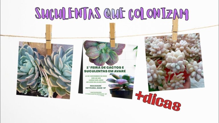 Como Limpar Azulita de Forma Eficiente