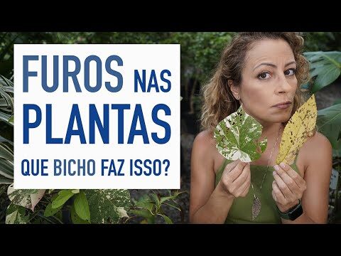 Métodos Eficazes para Limpar Camada de Heras no Chão