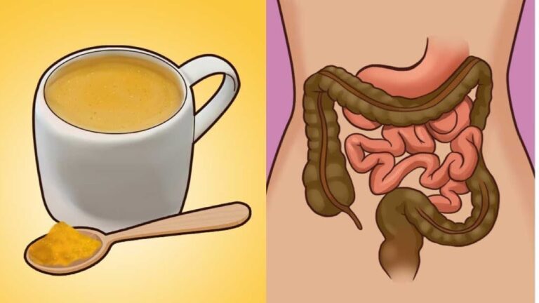 Limpeza Intestinal: Receitas Caseiras Eficazes