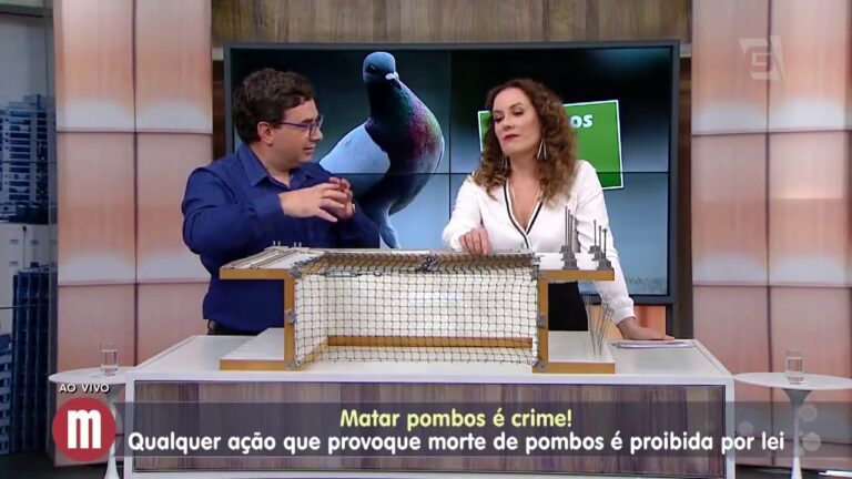 Guia Pr&aacute;tico para Limpar Ninhos de P&aacute;ssaro em S&oacute;t&atilde;os Dif&iacute;ceis de Acessar