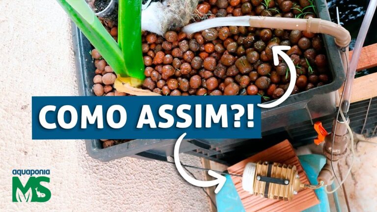 Limpeza Eficiente de Sementes com Compressor de Ar