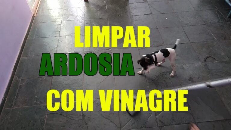 Como Limpar Ard&oacute;sia Esbranqui&ccedil;ada de Forma Eficiente