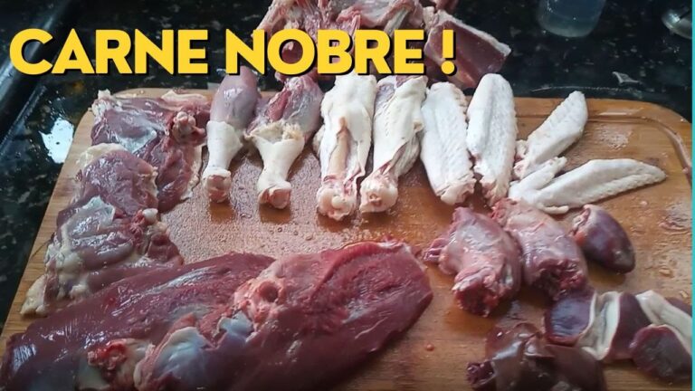 Guia Prático para Criar um Sistema Limpa Patas Eficiente