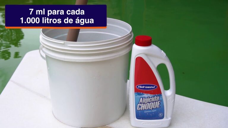 Dicas Eficazes para Limpar Algas da Piscina