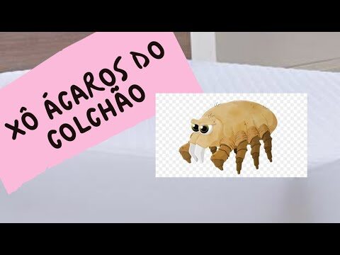 Como Limpar Colchões Infestados de Ácaros