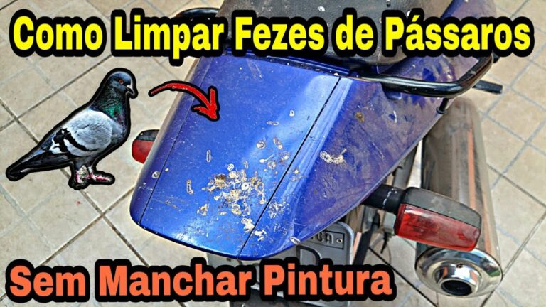 Dicas Eficazes para Limpar Coco Seco de Pássaro